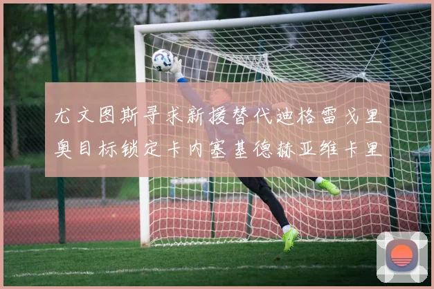 尤文图斯寻求新援替代迪格雷戈里奥目标锁定卡内塞基德赫亚维卡里奥