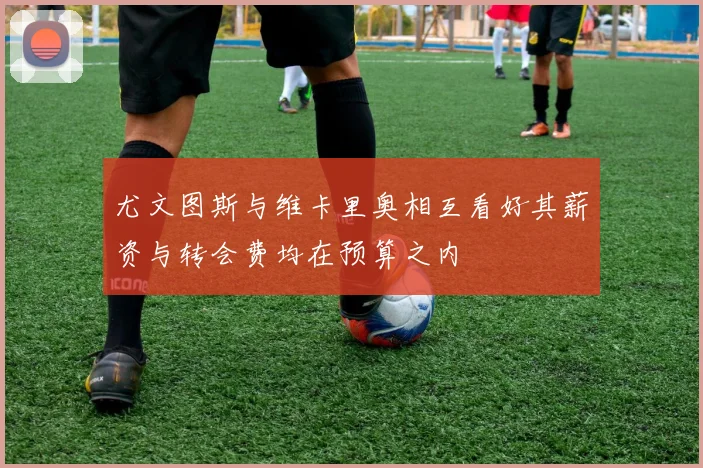 尤文图斯与维卡里奥相互看好其薪资与转会费均在预算之内