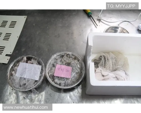 库尔图瓦谈老鼠事件表示绝不会伤害小动物将其安全放生